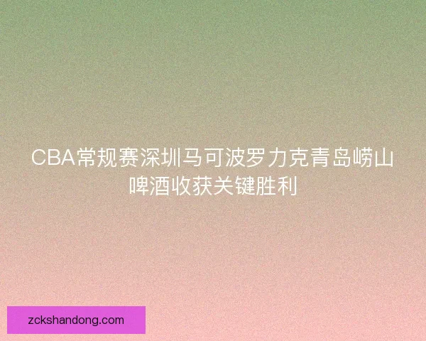 CBA常规赛深圳马可波罗力克青岛崂山啤酒收获关键胜利